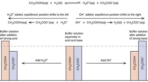 acetic acid + sodium hydroxide|14.6: Buffers .
